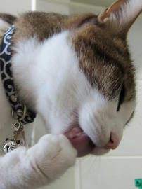 IMG02229.jpg