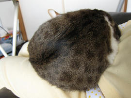 IMG02230.jpg