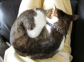IMG02232.jpg