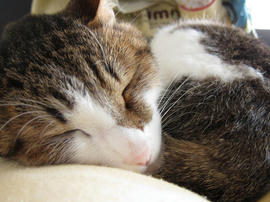 IMG02233.jpg