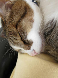 IMG02236.jpg