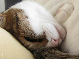 IMG02239.jpg