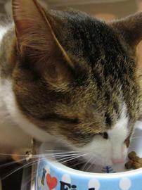 IMG02245.jpg