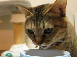 IMG02247.jpg