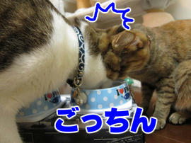 IMG02248.jpg