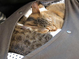 IMG02250.jpg