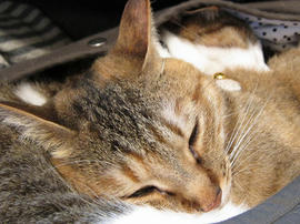IMG02251.jpg