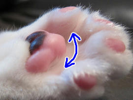 IMG02255.jpg