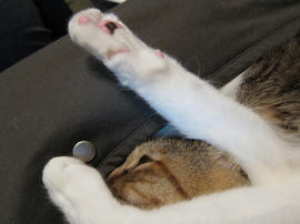 IMG02256.jpg