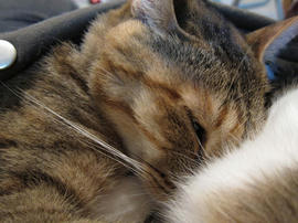 IMG02258.jpg