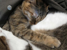 IMG02260.jpg