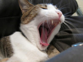 IMG02261.jpg