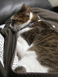 IMG02262.jpg