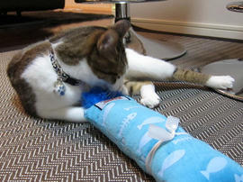 IMG02265.jpg