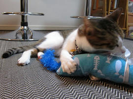 IMG02266.jpg
