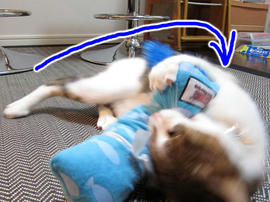 IMG02267.jpg