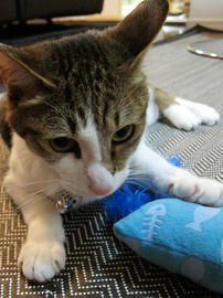 IMG02268.jpg