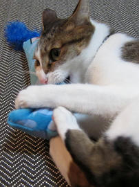 IMG02269.jpg