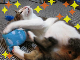 IMG02270.jpg