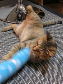 IMG02273.jpg