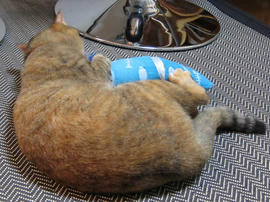 IMG02274.jpg