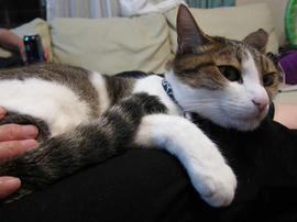 IMG02279.jpg