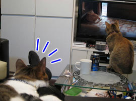 IMG02282.jpg