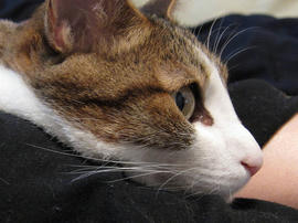 IMG02287.jpg