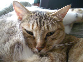 IMGP11295.jpg