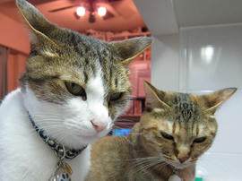 IMG02297.jpg
