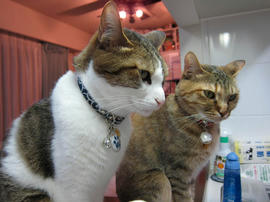 IMG02298.jpg