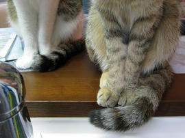 IMG02299.jpg