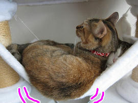 IMG02303.jpg