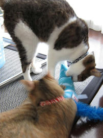 IMG02305.jpg