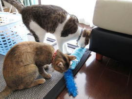 IMG02306.jpg