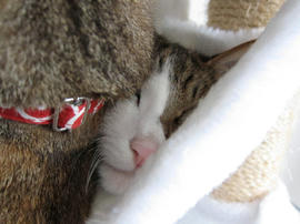 IMG02301.jpg