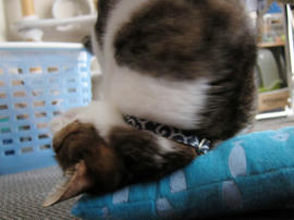 IMG02309.jpg