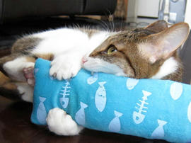 IMG02310.jpg