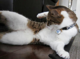 IMG02311.jpg