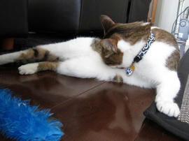 IMG02312.jpg