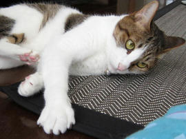 IMG02313.jpg
