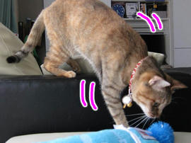 IMG02314.jpg