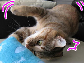 IMG02315.jpg
