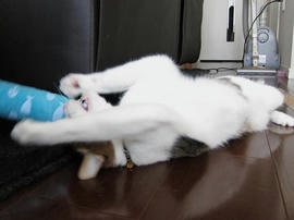 IMG02317.jpg