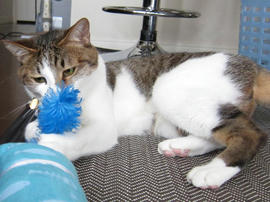 IMG02318.jpg