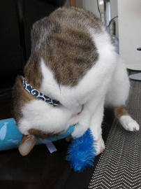 IMG02320.jpg