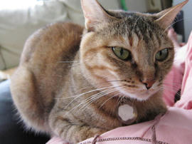 IMG02323.jpg