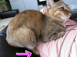 IMG02325.jpg