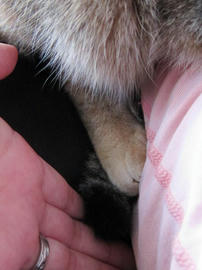 IMG02326.jpg