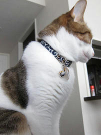 IMG02327.jpg